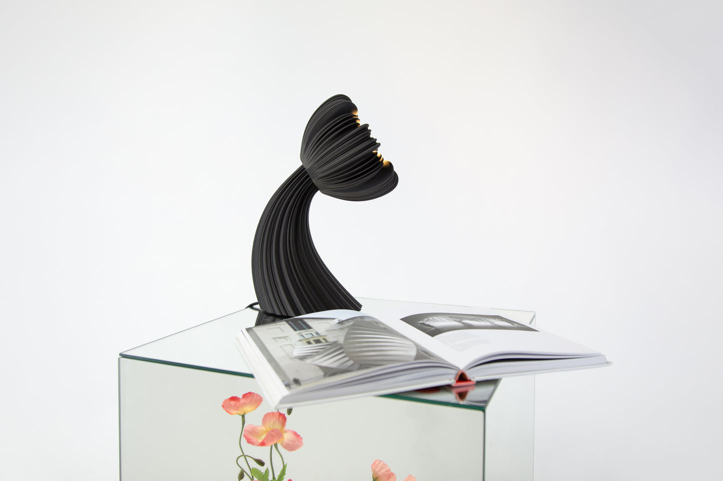 Poppy Midnight Black